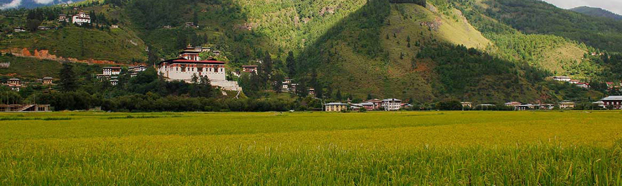 Bhutan and its ecology