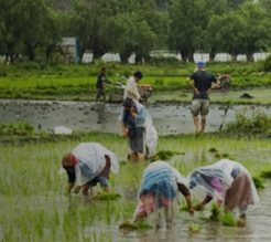 Economy of Bhutan