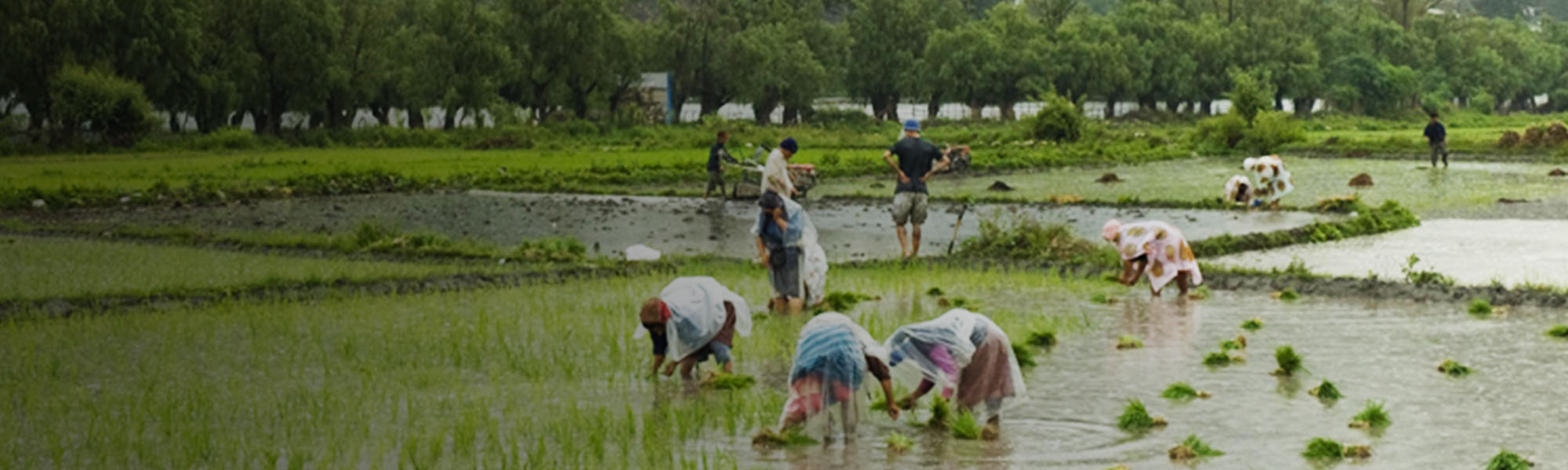 Economy of Bhutan