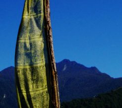 Bhutan Nabji Korphu Trek