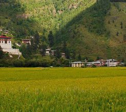 Bhutan and its ecology