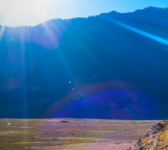 Bhutan Phobjikha Valley