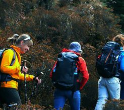 Bhutan Trekking Tours